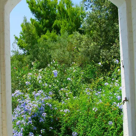 Villa Arios, Pool, Jacuzzi And Sea Kanapitsa (Skiathos)
